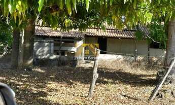 Imagem 3: Fazenda, 625 alqueires - Zona Rural - Duerê/TO