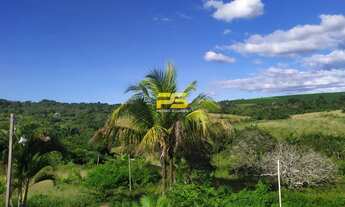 Imagem 6: Sítio 8,94 hectares em Curral de Cima á venda por 290.000,00