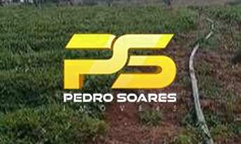 Imagem 2: SITIO 40 HECTARES POR 700 MIL REAIS MONTEIRO