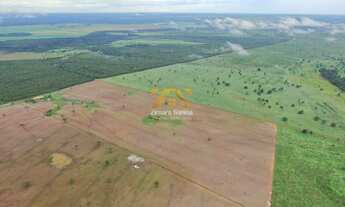 Imagem 6: Fazenda, 1.089 alqueires - Centro - Pium/TO