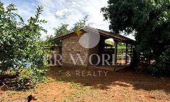 Imagem 4: Chácara com 6 hectares em taquaral