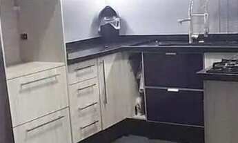 Imagem 7: Casa com 3 quartos a venda, Nova Barra Velha - Barra Velha