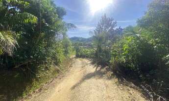 Imagem 6: Sitio com casa, ranchos, arrozeiras e criação de peixe em Massaranduba