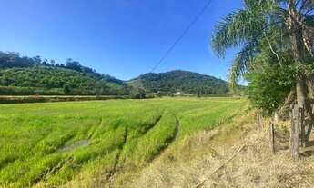 Imagem 5: Sitio com casa, ranchos, arrozeiras e criação de peixe em Massaranduba