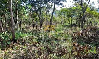 Imagem 5: Terreno, 2.618 m² - Próximo ao Limpão, n° 04 - Palmas/TO