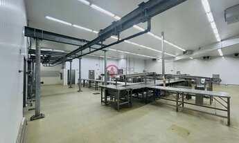 Imagem 2: Armazém Refrigerado para Locação – Estrutura Completa e Pronto para Operação