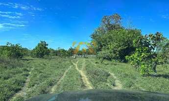 Imagem 6: Fazenda, 625 alqueires - Zona Rural - Duerê/TO