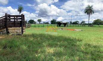 Imagem 7: Fazenda com 53,5 Alqueires - Zona Rural - Aparecida do Rio Negro/TO