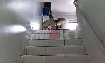 Imagem 6: Sobrado com Suíte mais 2 Quartos no Czerniewicz