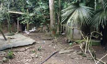 Imagem 7: Chácara à Venda em Guaramirim com 7 Lagoas