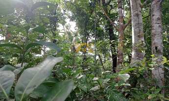 Imagem 5: Fazenda,109 alqueires - Zona Rural - Santa Rita / TO