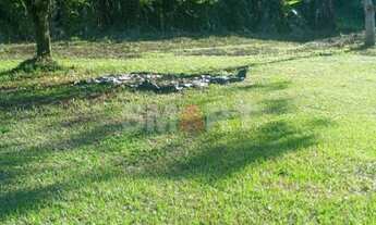 Imagem 3: Terreno à Venda em Nereu Ramos com 69.013,000m²