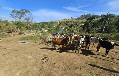 Imagem 6: Chácara à Venda