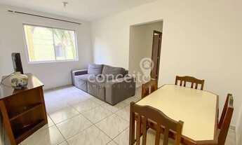 Imagem 5: Apartamento 3 Dormitórios Semimobiliado na Velha!