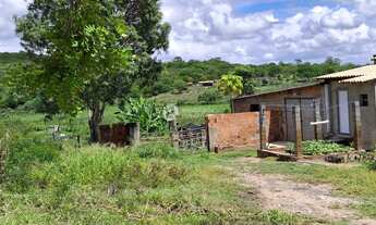Imagem 5: FAZENDA EM GARARU AO LADO DO RIO SÃO FRANCISCO