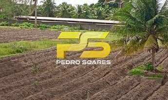 Imagem 4: 1 Hectaria a venda no bairro de Gramame João Pessoa