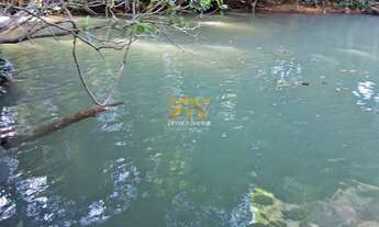 Imagem 6: Fazenda, 29 Alqueires - ZONA RURAL, Aparecida do Rio Negro/TO