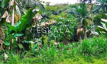 Imagem 6: Chácara com 47 Mil m², Bairro Amizade, Guaramirim