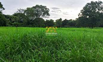 Imagem 4: Fazenda, 29 Alqueires - ZONA RURAL, Aparecida do Rio Negro/TO