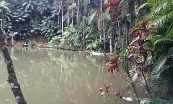 Imagem 5: Chácara à Venda em Guaramirim com 7 Lagoas