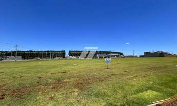 Imagem 2: Terreno GIGANTE no Tropical IV