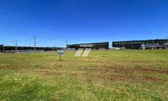 Imagem 3: Terreno GIGANTE no Tropical IV