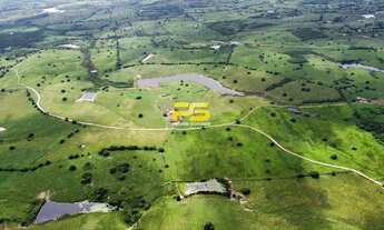 Imagem 5: Fazenda para venda com 150 Hectares