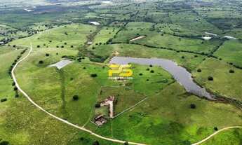 Imagem 3: Fazenda para venda com 150 Hectares