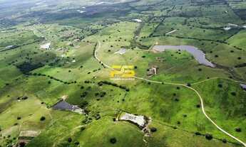 Imagem 4: Fazenda para venda com 150 Hectares