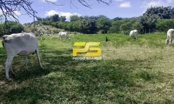 Imagem 3: FAZENDA A VENDA (COM CASA) COM 03 QUARTOS - SÃO JOSÉ DO BELMONTE