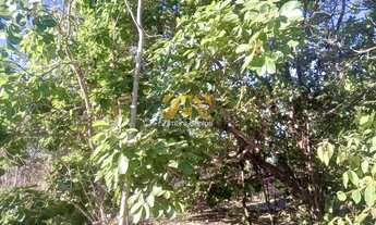 Imagem 6: Chácara com 1.000 m² - Condomínio Recanto dos Buritis - Porto Nacional/TO