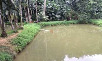 Imagem 4: Chácara à Venda em Guaramirim com 7 Lagoas