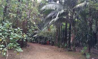 Imagem 3: Chácara à Venda em Guaramirim com 7 Lagoas