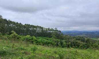 Imagem 4: TERRENO - LOCALIDADE DE PINHAL - PETROLÂNDIA - SC