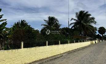 Imagem 4: CHÁCARA NO MUNICIPIO DE AREIA BRANCA COM PISCINA E FRUTEIRAS
