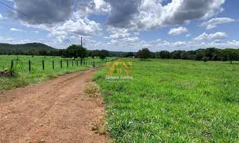 Imagem 3: Fazenda com 53,5 Alqueires - Zona Rural - Aparecida do Rio Negro/TO