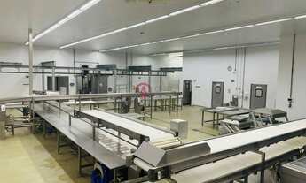 Imagem 4: Armazém Refrigerado para Locação – Estrutura Completa e Pronto para Operação