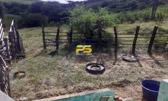 Imagem 5: FAZENDA A VENDA (COM CASA) COM 03 QUARTOS - SÃO JOSÉ DO BELMONTE