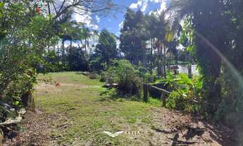 Imagem 3: Chácara com Pesque e Pague a venda em Barra Velha