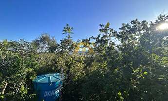 Imagem 4: Chácara, 8000 m² - Zona Rural - Palmas/TO