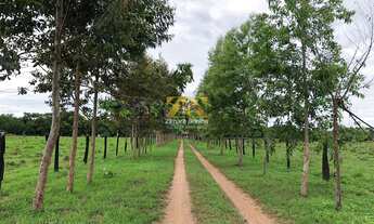 Imagem 3: Chácara, 10 alqueires - Silvanópolis/TO