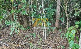 Imagem 6: Chácara 2,5 Alqueires - Zona Rural - Próxima a Palmas - Porto Nacional/TO