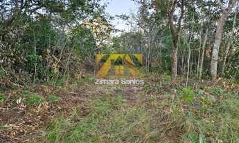 Imagem 7: Chácara 2,5 Alqueires - Zona Rural - Próxima a Palmas - Porto Nacional/TO