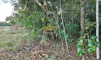 Imagem 4: Chácara 2,5 Alqueires - Zona Rural - Próxima a Palmas - Porto Nacional/TO