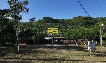 Imagem 6: OPORTUNIDADE A VENDA CHACARA SONHO MEU BANANEIRAS-PB