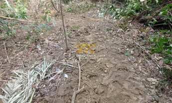 Imagem 3: Fazenda,109 alqueires - Zona Rural - Santa Rita / TO