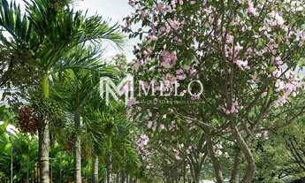 Imagem 3: BOA VIAGEM - Apto com 4qts, 2suites, 2vagas, 131m²