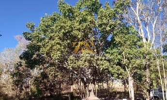 Imagem 4: Chácara com 1.000 m² - Condomínio Recanto dos Buritis - Porto Nacional/TO