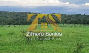 Imagem 4: Fazenda com 53,5 Alqueires - Zona Rural - Aparecida do Rio Negro/TO