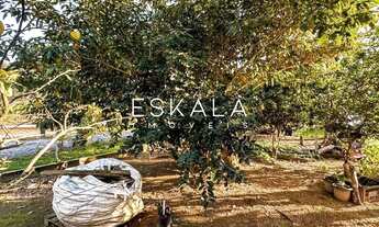 Imagem 4: Chácara com 3 mil m²